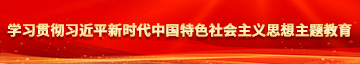 阴茎插翘臀福利视频在线观看学习贯彻习近平新时代中国特色社会主义思想主题教育